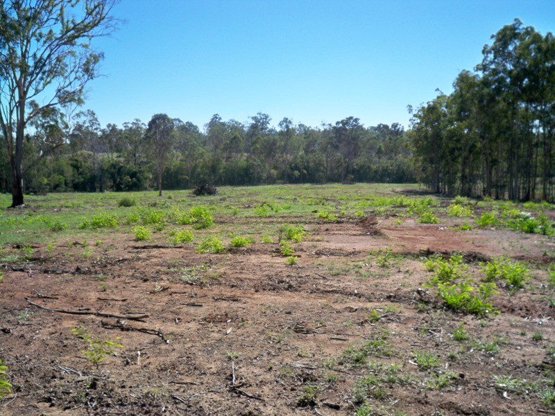 South Bingera QLD 4670
