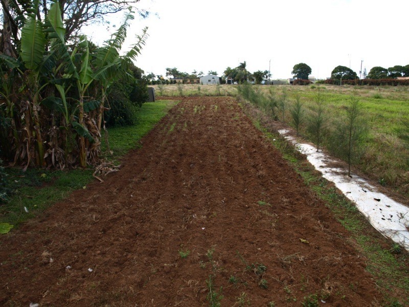 Alloway QLD 4670