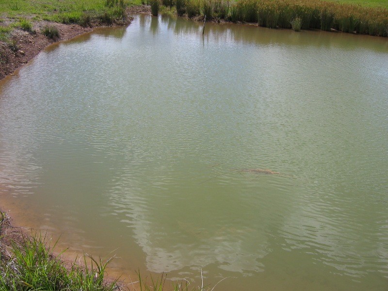 Redridge QLD 4660