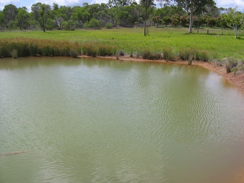 Redridge QLD 4660