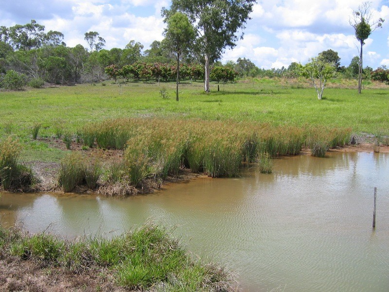 Redridge QLD 4660