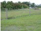 Redridge QLD 4660