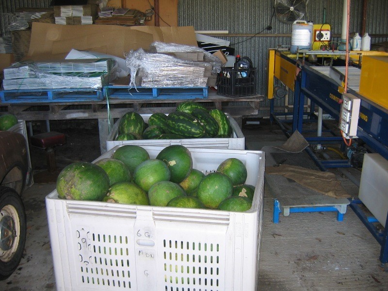 North Gregory QLD 4660