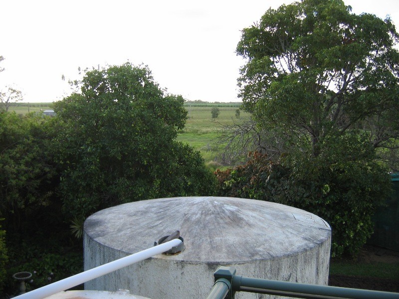 South Kolan QLD 4670
