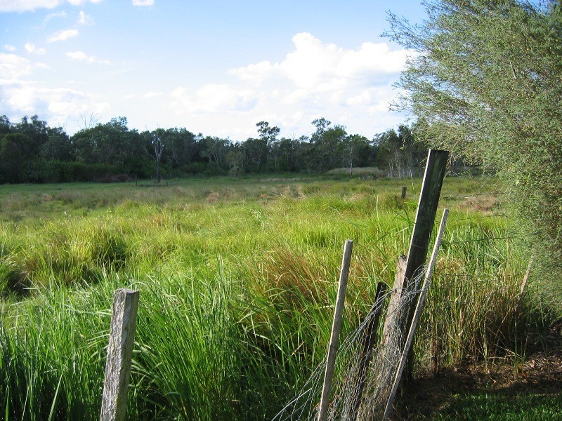 South Kolan QLD 4670
