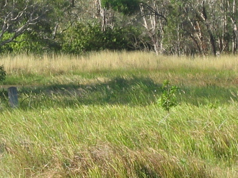 South Kolan QLD 4670