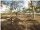 South Kolan QLD 4670
