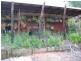 South Bingera QLD 4670