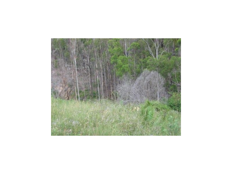 South Bingera QLD 4670
