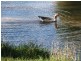 South Bingera QLD 4670