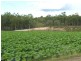 265 Bunns Road, Apple Tree Creek QLD 4660