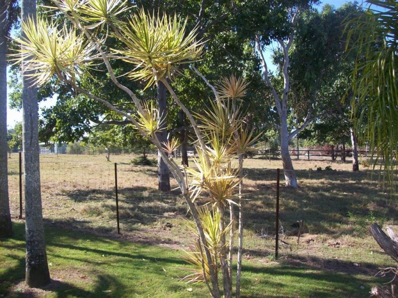 54 Redridge Drive, Redridge QLD 4660