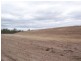 Lot 12 Mittelheuseres Road, Wallaville QLD 4671
