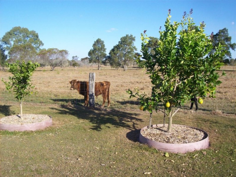 1686 Buxton Road, Buxton QLD 4660