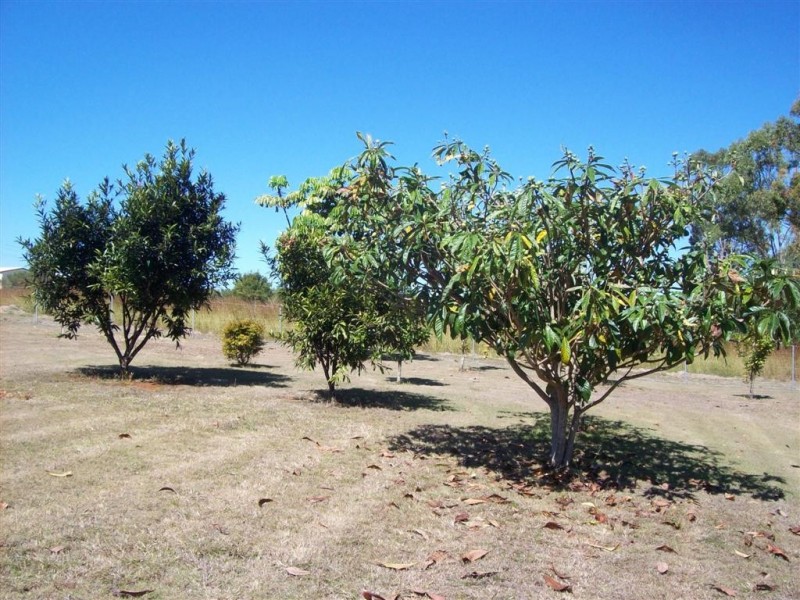 11 Redridge Crescent, Redridge QLD 4660