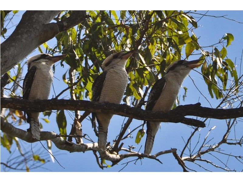 4528 Bundaberg Road, Gin Gin QLD 4671