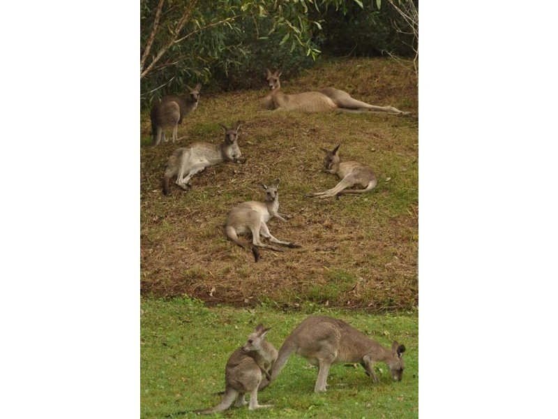 4528 Bundaberg Road, Gin Gin QLD 4671