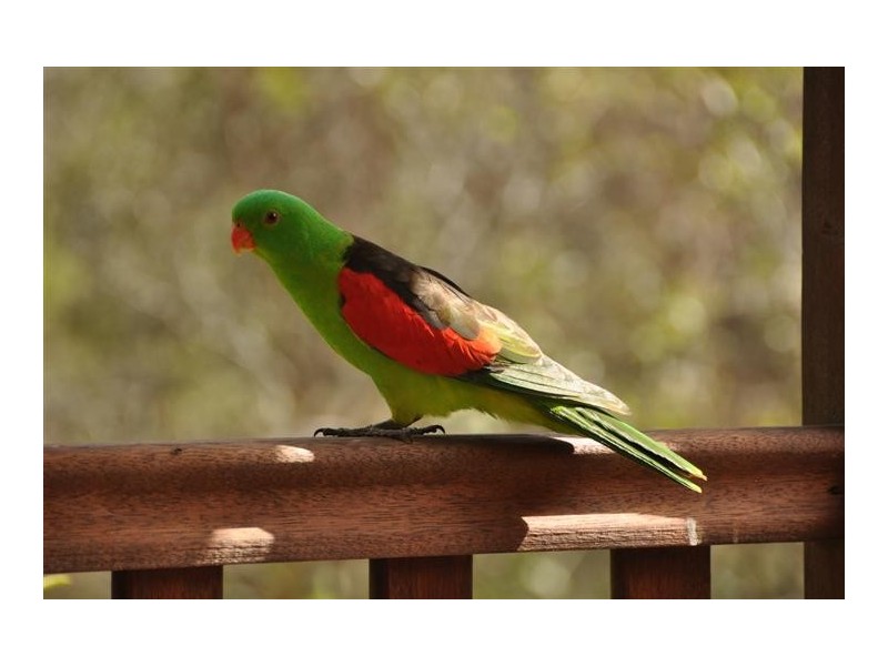 4528 Bundaberg Road, Gin Gin QLD 4671