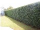 10 Redridge Cr, Redridge QLD 4660