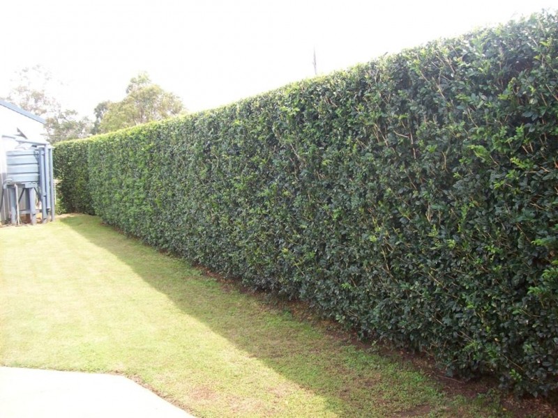10 Redridge Cr, Redridge QLD 4660