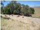 Booyal QLD 4671
