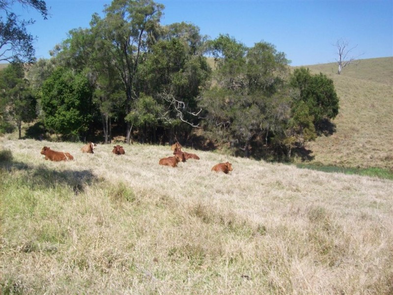 Booyal QLD 4671