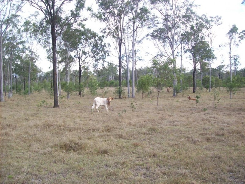 49 Corfield Drive, Booyal QLD 4671