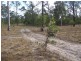 49 Corfield Drive, Booyal QLD 4671