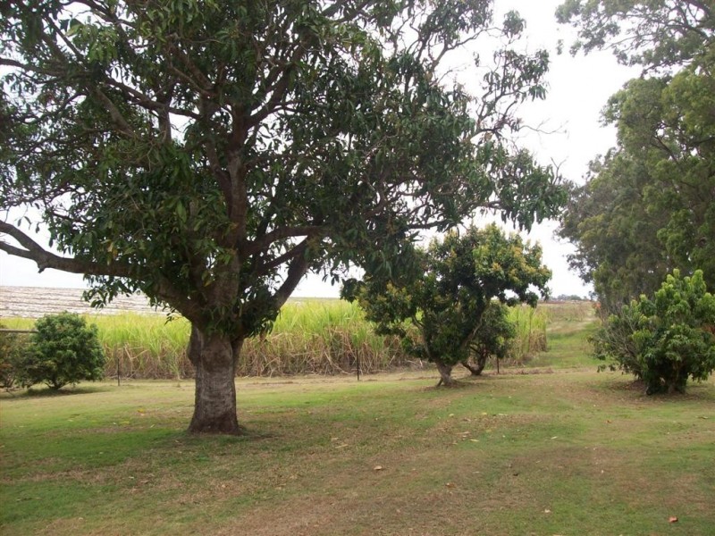 109 Promisedland Road, Cordalba QLD 4660