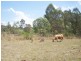 47 Sues Road, Horse Camp QLD 4671