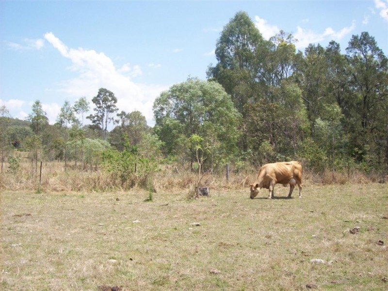 47 Sues Road, Horse Camp QLD 4671