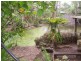 18 Anderson Street, Apple Tree Creek QLD 4660