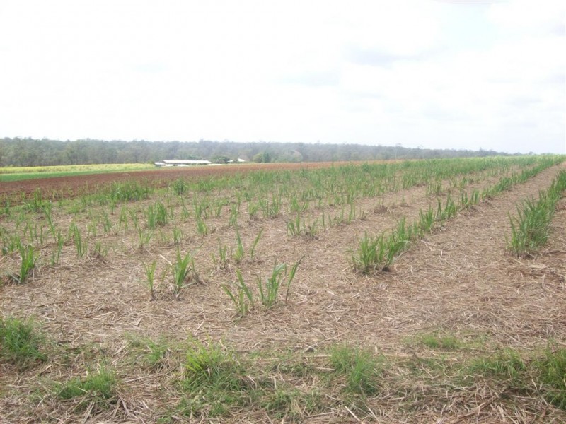 81 Marule Road, Booyal QLD 4671