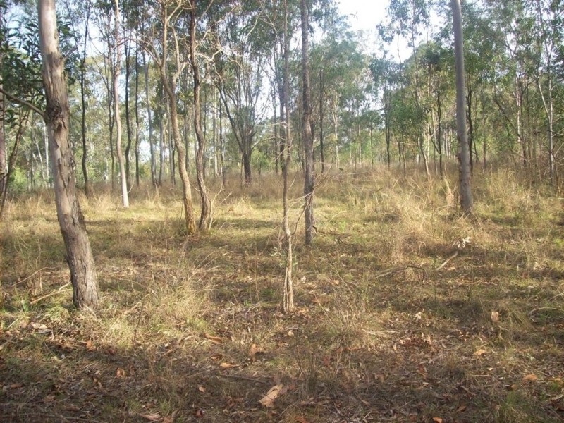 103 Forestvale Road, Horse Camp QLD 4671