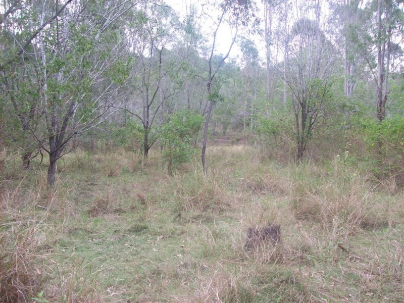 103 Forestvale Road, Horse Camp QLD 4671