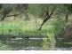 410 Old Booyal Road, Dallarnil QLD 4621