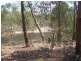 228 Bunns road, Apple Tree Creek QLD 4660