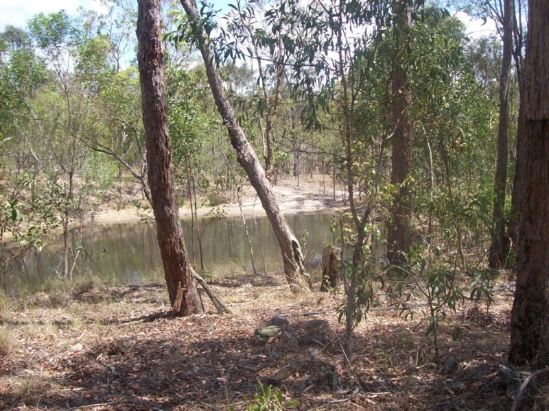 228 Bunns road, Apple Tree Creek QLD 4660