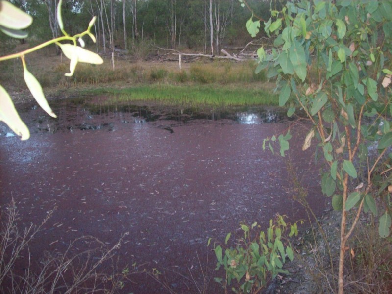 Lot 10.  Walla Island Road, Duingal QLD 4671