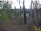 Lot 10.  Walla Island Road, Duingal QLD 4671