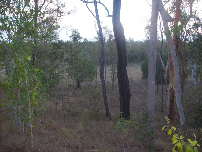 Lot 10.  Walla Island Road, Duingal QLD 4671