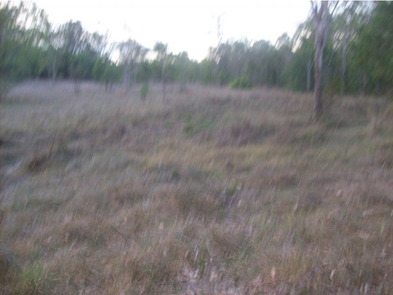 Lot 10.  Walla Island Road, Duingal QLD 4671