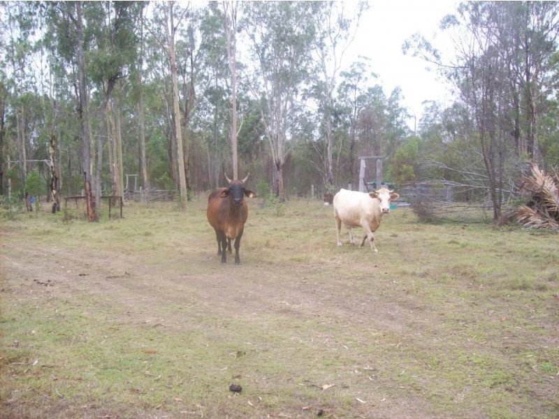 73 Howards road, Apple Tree Creek QLD 4660