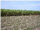 Gin Gin QLD 4671