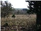 Gin Gin QLD 4671