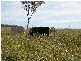 Gin Gin QLD 4671