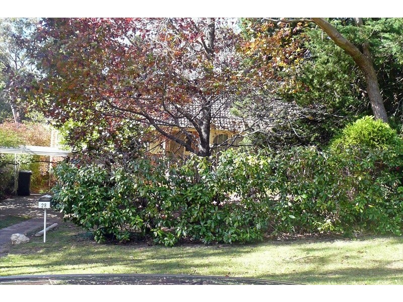 Wentworth Falls NSW 2782