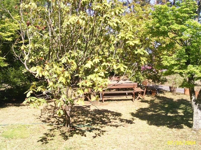 Wentworth Falls NSW 2782