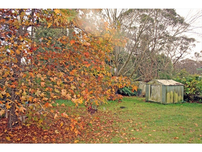 Wentworth Falls NSW 2782