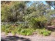 Wentworth Falls NSW 2782